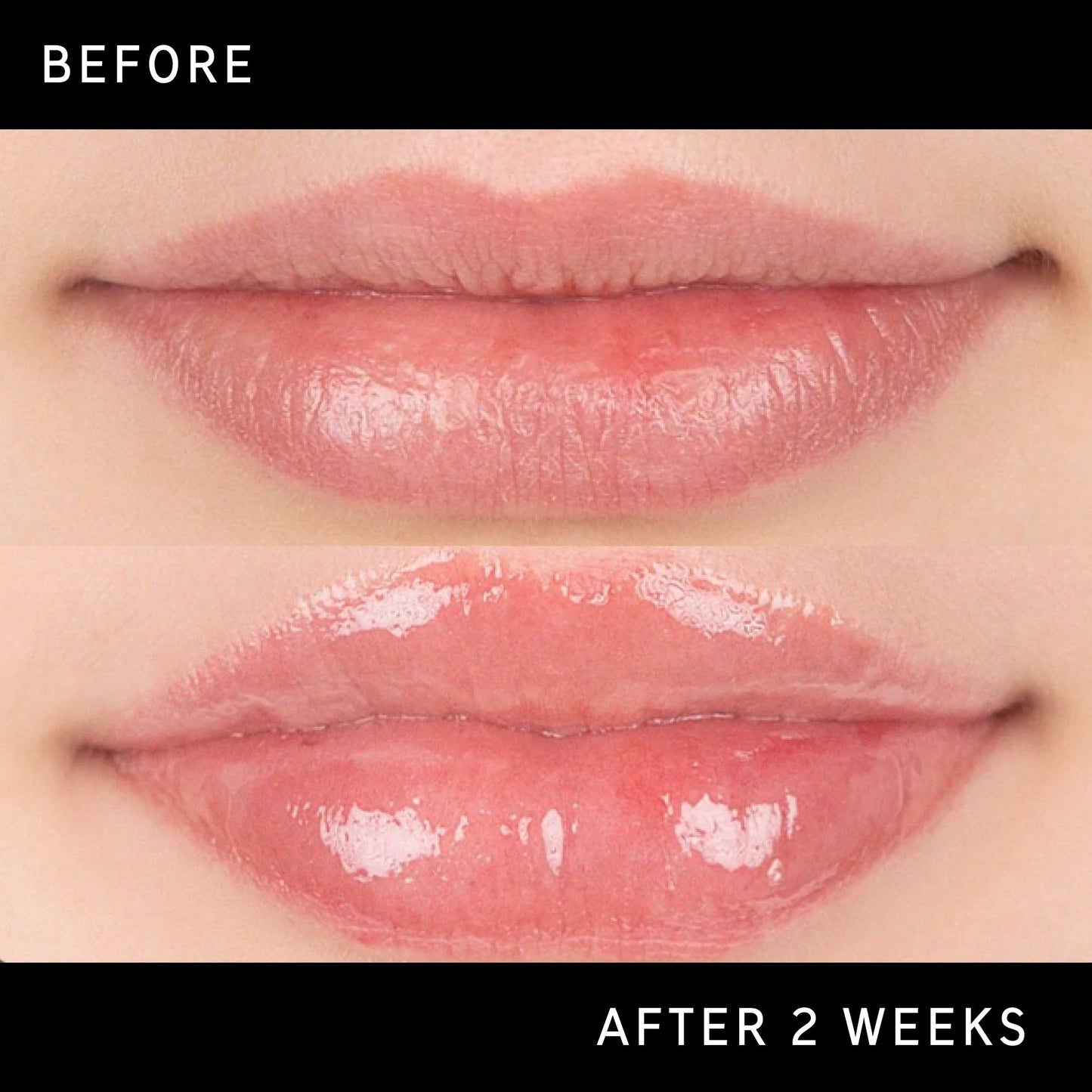 lip-plumping-duo-h9 DTC-Top15_Amends_Tripeptide-Lip_B_A.jpg